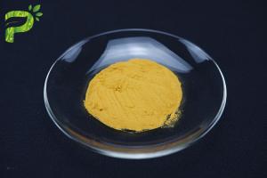China No Mildew Natural Fruit Powder 8.0% Ash 80 Mesh Ginger Tea Powder on sale