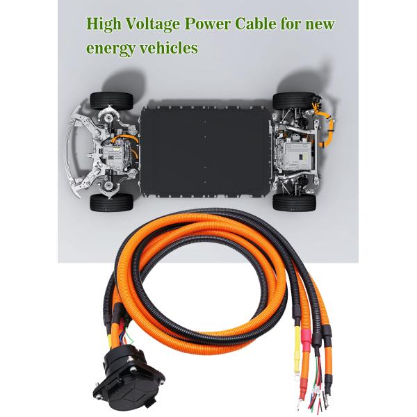 CTS Industrial Wiring Harness for Motorcycle Auto Electric Vehicle High Voltage Power Cable