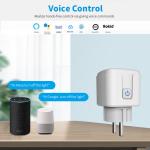 Tuya Wifi Smart Socket Plug With Countdown / Timing Function