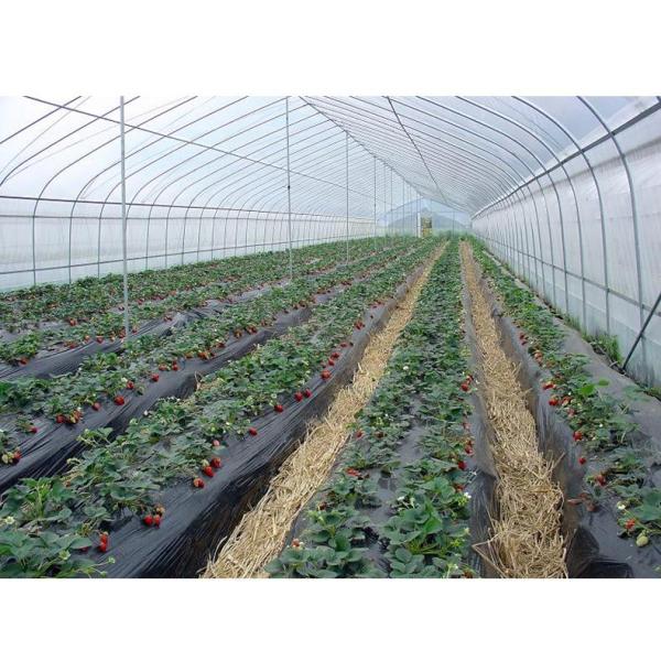Agricultural PE Film, Agriculture Polyethylene, Film, mulch films, horticultural polyethylene film