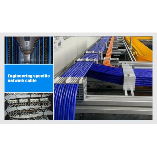 SFTP CAT6 LSZH 500FT 23AWG Industrial Shielded Cable For Large Networks