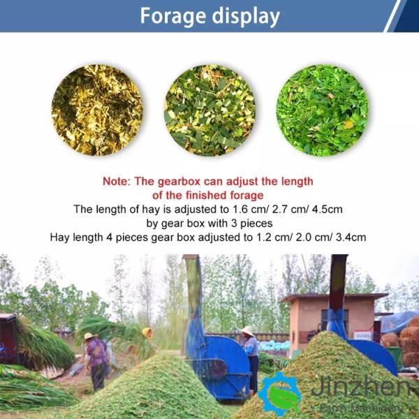 Agricultural Use Grass Rice Corn Wheat Straw Silage Chaff Cutter Forage Chopper For Animal Feed