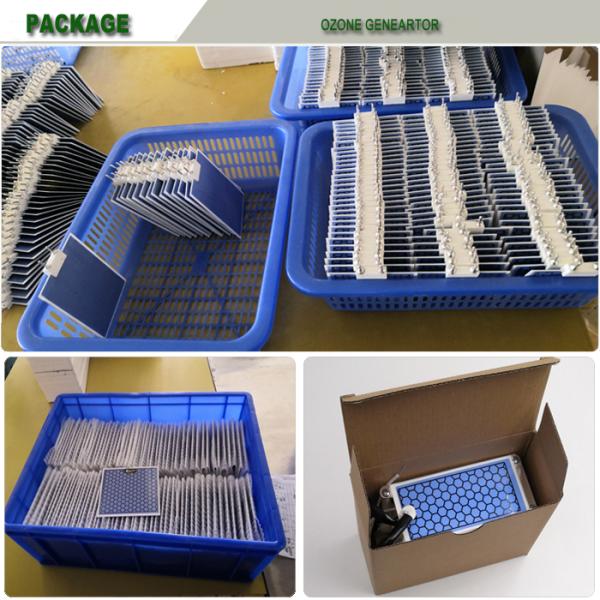 CE Certificated 10g Air Cooling Air Sterilization Integrated Ceramic Plate Module Used for Ozone Generator