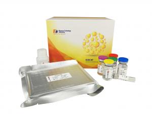 China 96 Wells Customized Mouse Elisa Kit Vascular Endothelial Cell Growth Factor on sale