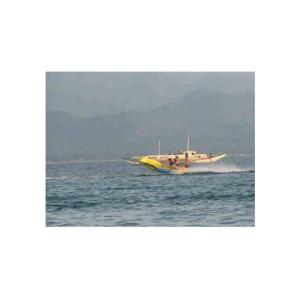 Quality Commercial Flying Fish Towable Inflatables With Airtight Structure for sale