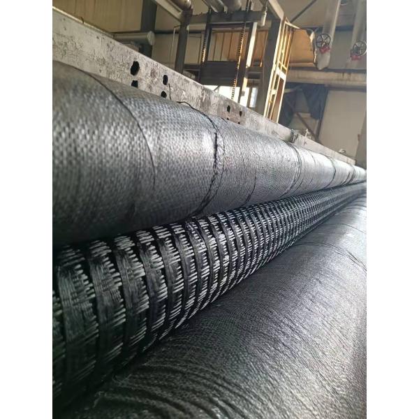 Modern Design Geogrids PE Biaxial Mesh Fiberglass for Driveway Stabilization Solution