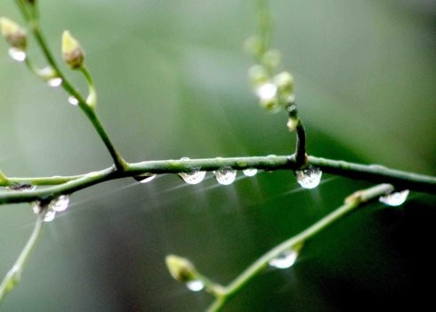 Shooting Star Mirror Diffuser Night Filter 37mm In The Sun / Night Scenes