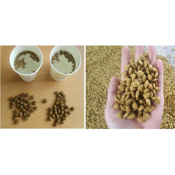 380v / 220v Fish Feed Extruder Floating Feed Machine 1000kg/H Stable Operation