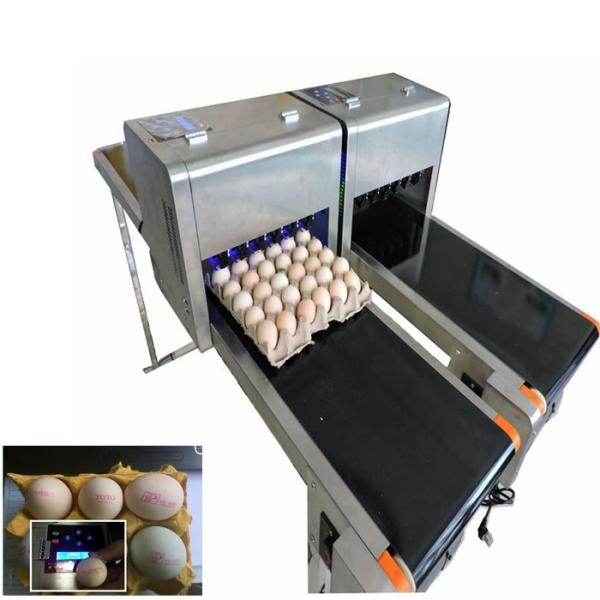 High Speed Dates Or Logo Egg Printing Machine With Computer Control