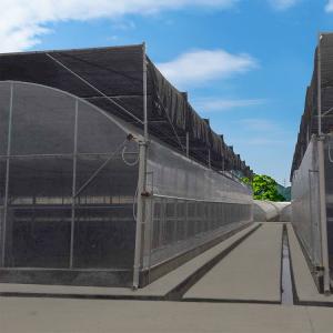 Quality Multi-Span Agricultural Polycarbonate Sheet Greenhouse For Departs Tropical Greenhouse for sale