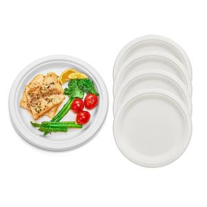 Quality Microwaveable Eco Friendly Packaging Compostable Sugarcane Plates Biodegradable Pulp Molded for sale