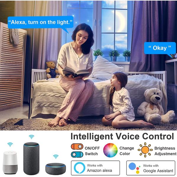 24w Tuya Smart Ceiling Light Colorful Rgb Remote Control Led Modern Music