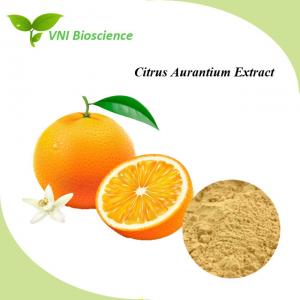Quality Natural Citrus Aurantium Fruit Extract Powder Citrus Bioflavonoids Hesperidin for sale