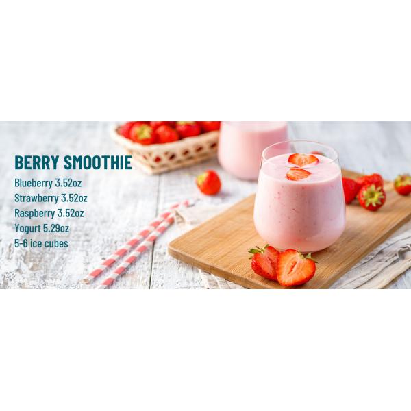 8 Speed Settings Supply Professional Ice Crusher Machine Commercial Smoothie Blender