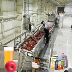 Apple Processing Line For Machinery And Comprehensive Engineering