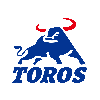 China Shandong Toros Machinery Corporation logo