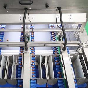 Quality 2.0 Tons High-Capacity Defect Sorting 8-Lane Palm Dates Sorting Machine for sale