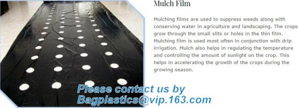 Durable plastic mulch film for greenhouse,Black/white Mulch Film/clear Plastic Protective Film,pe agriculture white/blac