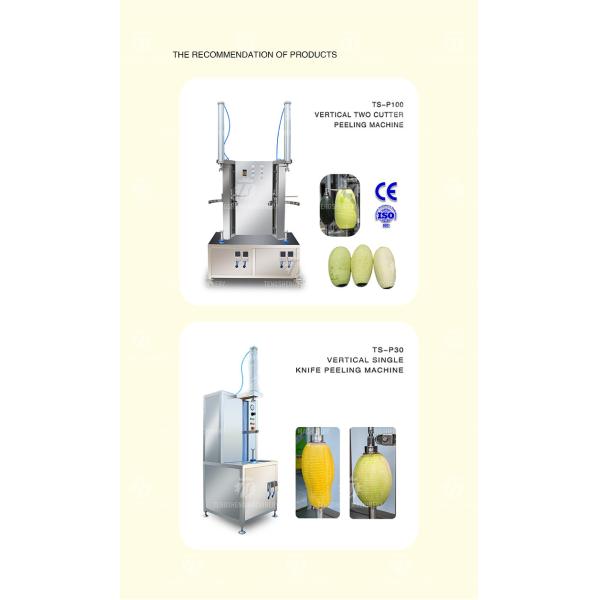 95KG 1 Head Pumpkin Peeler Machine For Food Factory Dining Hall