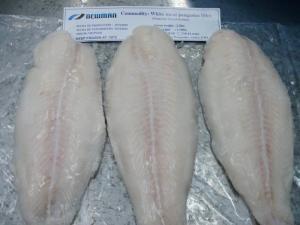 China Delicious Bulk Frozen Fish Frozen Pangasius Fillet / Basa Fish From Vietnam on sale