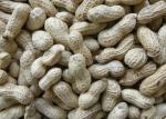Full Color RGB Camera Peanut With Shell Color Sorter Peanut Sorting Machine