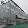 Transparent Hydroponic 0.3KN/M2 Multi Span Greenhouse for sale