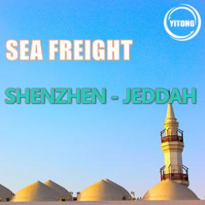 Quality Shenzhen China To Jeddah Saudi Arabia Sea Freight Logistics Transport High Efficiency for sale