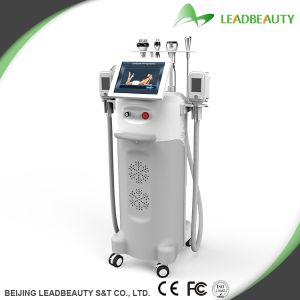China High-tech/Professional/ multi-functional cryolipolysis device on sale
