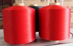 Dope Dyed Polyester colored PBT High Elasticity dty Yarn polyester dty dyed