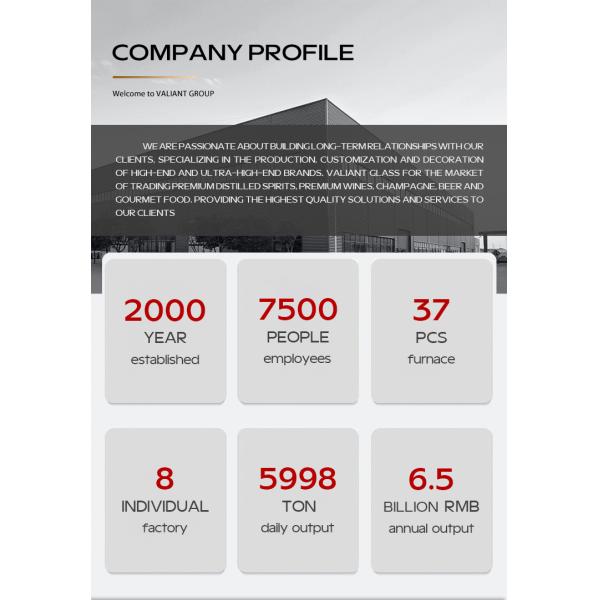 750ml Brandy or Whisky Glass Bottle Packaging with Unique Design and Acid Etch Surface