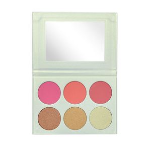 Quality Long Lasting Private Label Cheek Makeup Blush Palette for sale