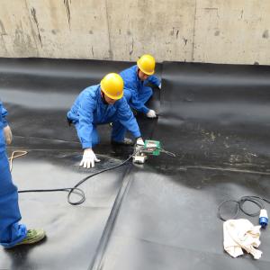 Quality Professional Solution Capability 3D Model Design HDPE Geomembrane Pond Liner for sale