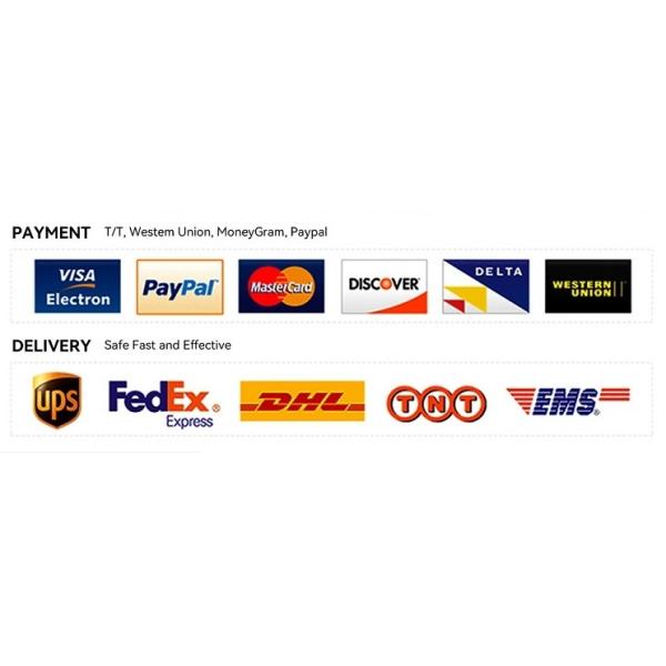 GeoVES Borehole Water Detector Geo Resistivity Testing Machine For Groundwater Geophysical Underground Water Finder