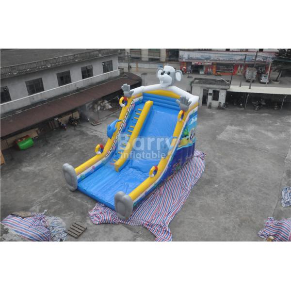 Adult Size 0.9mm PVC Inflatable Water Slide Jumping Castle Slide