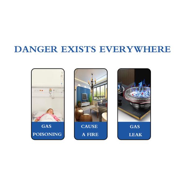 Wired Natural Gas Detector Alarm 0-20%LEL 85dB With Sound / Light Warning