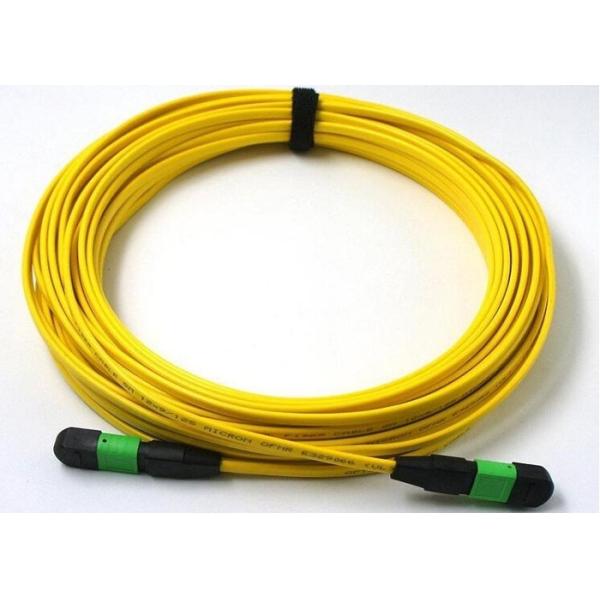 OM1 OM2 MPO Trunk Cable , MTP - MPO Fiber Connector For LAN Network