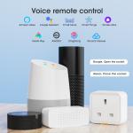 Tuya Smart Home Plug: UK Socket Travel Adapter with Type-C, 16A WiFi RF433, App