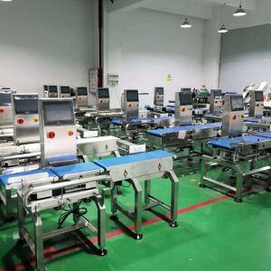 SUS 304 Dynamic Check Weigher Weighing Scale With Rejection