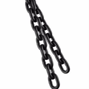 Quality Professional Lifting Chain for Safe and Precise Weight Lifting Applications for sale