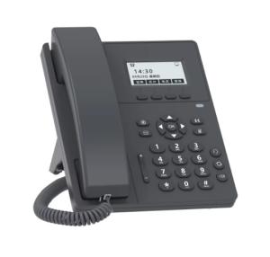 Basic IP Phone with 2 SIP accounts, black & white screen
