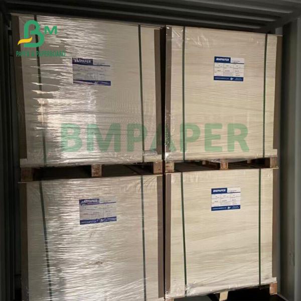 170gsm+ 18gsm Safe Printed Bleached Cup Stock For Hot And Ice Drinking Cup Safe Printed Bleached Cup Paper Board For Hot And Ice Drinking Cup 170gsm+ 18gsm