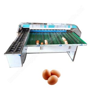 Quality Egg Size Sorting Machine Egg Sorter Machine Automatic Egg Grading Machine for sale
