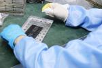 PIC16F724 Microchip Integrated Circuit 8 Bit PIC AVR MCUs