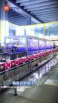 High Speed Wrap-Around Case Packing Machine Efficient Reliable And Automated
