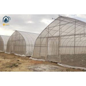 China Commercial Large Agricultural Greenhouse UV Film Vegetable Hydroponic Greenhouse on sale
