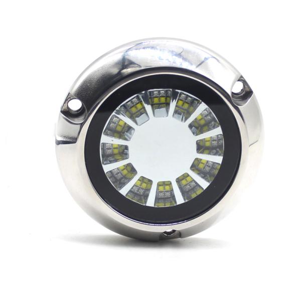 Dual Color IP68 12V 24V LED Swimming Pool Lights