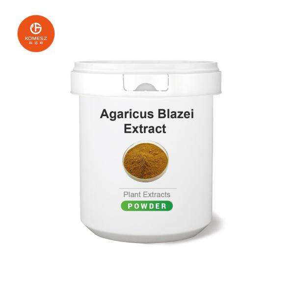Buy Agaricus Blazei Murill Extract Promoting Cardiovascular Health and Liver Function at wholesale prices