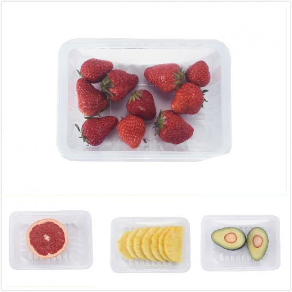 IP65 Fruit Vegetable Packing Machine Plastic Trays Minipack Vacuum Sealer