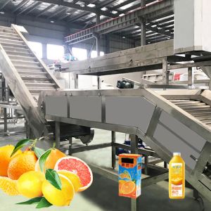 Quality Professional Tangerine Citrus Processing Equipment 5T/H ISO Certificate for sale