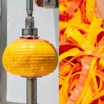 Mango Debarker Machine/Mango Processing Machine/Mango Peeling Machine